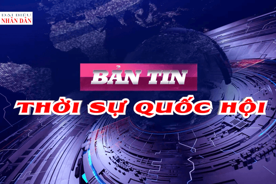 Bản tin Thời sự Quốc hội ngày 8/8/2026