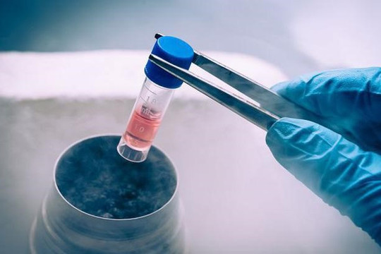 Hà Nội: Cảnh báo sử dụng các sản phẩm, chế phẩm sinh học từ tế bào gốc