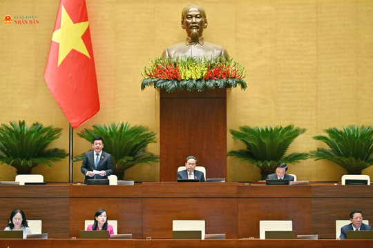 Rõ tiêu chuẩn, yêu cầu đối với trường hợp hành nghề kiến trúc