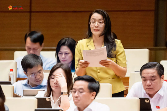Làm rõ giới hạn áp dụng luật chuyên ngành trong bồi thường nhà nước