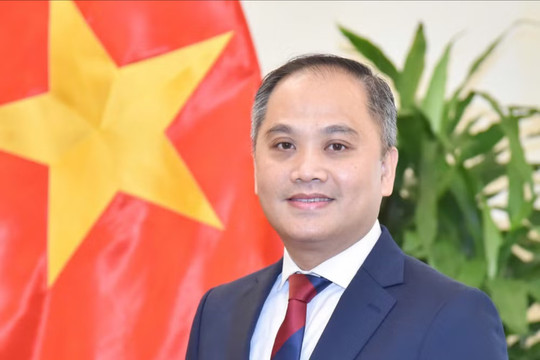 Quan hệ Việt Nam-New Zealand đứng trước nhiều cơ hội phát triển mới