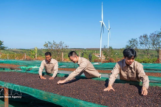 Vietnam, New Zealand seek new impetus for trade ties