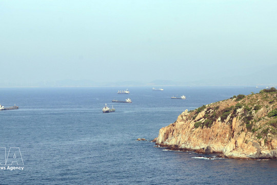 Policy reform crucial to facilitating Vietnam’s energy development