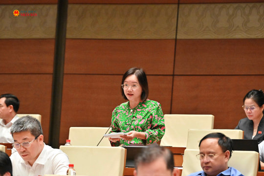Hiệu quả thực tiễn là thước đo chất lượng lập pháp