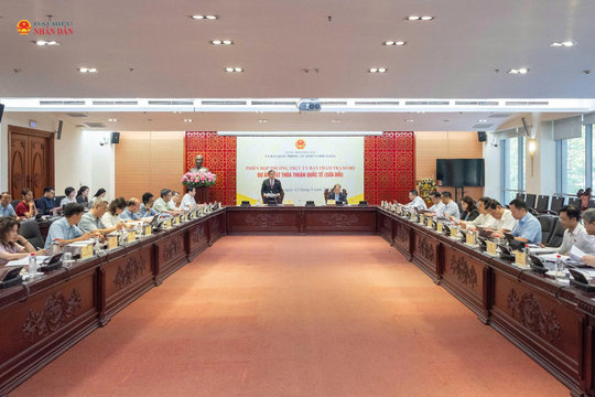 Cần tích hợp Cơ sở dữ liệu thỏa thuận quốc tế với Cơ sở dữ liệu quốc gia về cam kết quốc tế