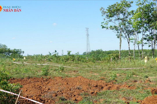Quảng Trị: Đẩy nhanh tiến độ khảo sát, tìm kiếm hố mộ tập thể 173 liệt sĩ tại đồi Cồn Tiên
