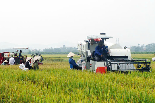 Mạch vốn chính sách thông suốt vùng đất Diễn Châu