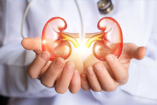 Ấn Độ đề xuất xét nghiệm chức năng thận 6 tháng/lần