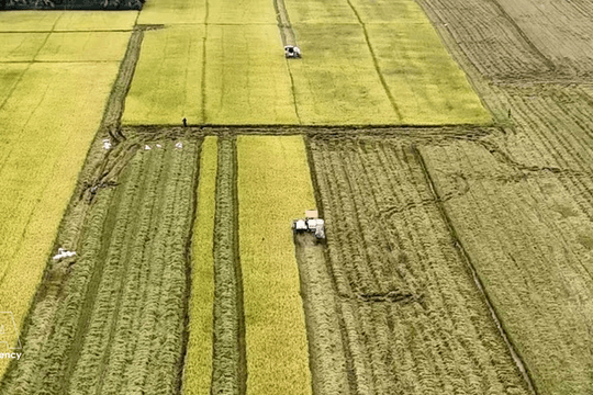 Vietnam seen as gateway for Canadian farm produce to ASEAN