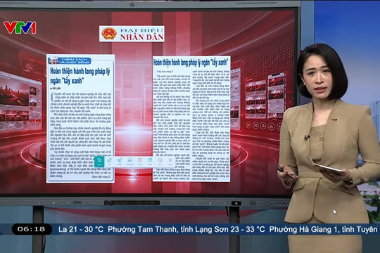 Điểm báo VTV1: Hoàn thiện hành lang pháp lý ngăn "tẩy xanh"