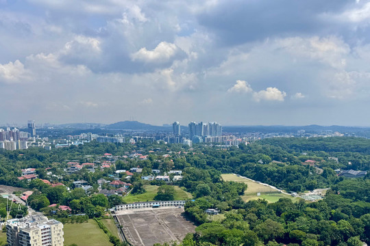 Singapore strives to preserve essential green spaces