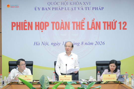 Dự án lấn biển chỉ nên là loại hình đầu tư được ưu tiên