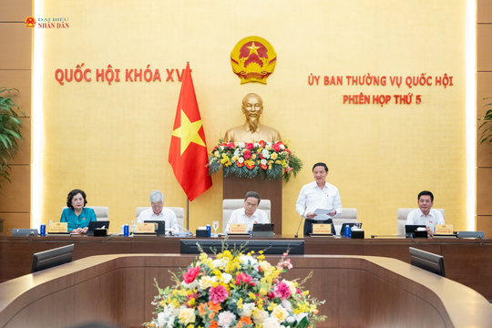 Ủy ban Thường vụ Quốc hội cho ý kiến về dự án Bộ luật Hình sự (sửa đổi)