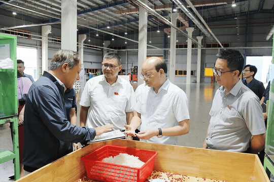 HĐND tỉnh Hưng Yên nâng cao chất lượng quyết định, tối ưu hiệu quả giám sát