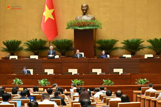 Quốc hội nghe báo cáo định hướng chính sách sửa đổi Luật Đất đai