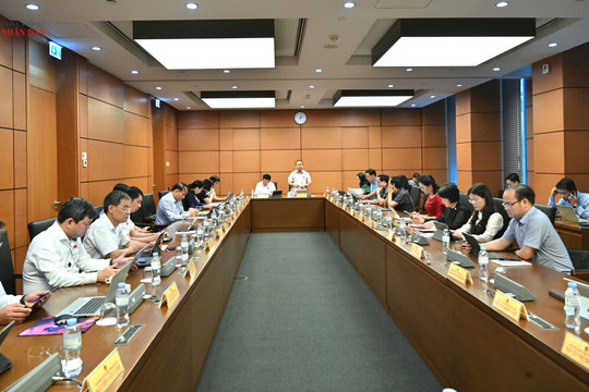 Chiều 19/8/2026, Thảo luận tổ 5 (Gia Lai, Hưng Yên)