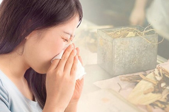Hắt hơi, ngạt mũi kéo dài: Đừng vội nghĩ là cảm cúm