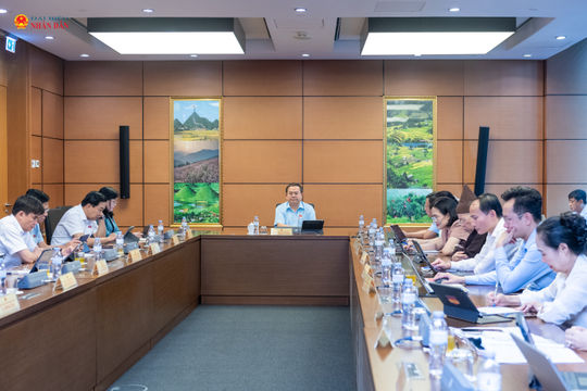 Chiều 20/8/2026: Thảo luận Tổ 14 (Đoàn ĐBQH các tỉnh Quảng Ninh, Đồng Tháp)
