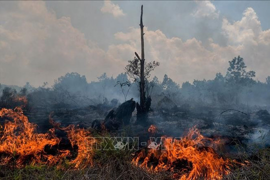 Indonesia intensifies cloud seeding as wildfires worsen