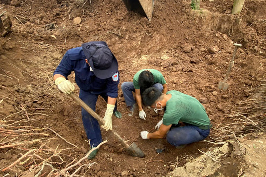 Dong Thap: Team K91 finds 42 remains of fallen soldiers in a coconut grove
