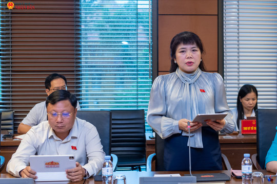 Đô thị lấn biển cần cơ chế đủ mạnh, hành lang pháp lý đủ chặt