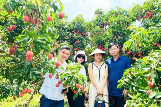 Phát triển du lịch nông thôn gắn với sản phẩm OCOP