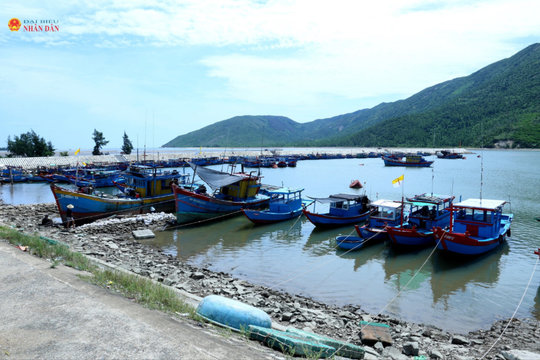 Hà Tĩnh tăng tốc khắc phục khuyến nghị IUU, quyết tâm gỡ “thẻ vàng”