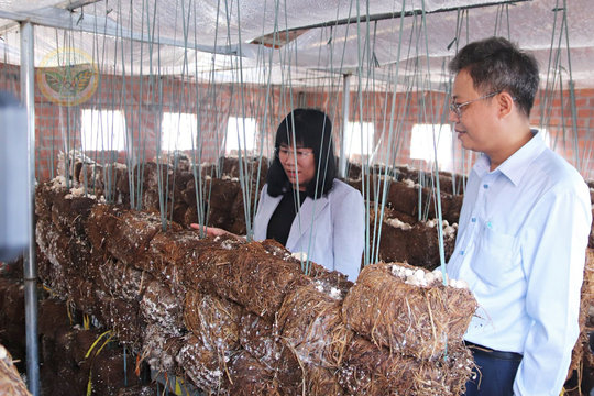 Từ hỗ trợ máy móc đến nâng tầm chuỗi giá trị