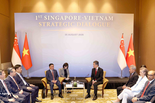 Singapore hosts welcome ceremony for key Party leader Tran Cam Tu