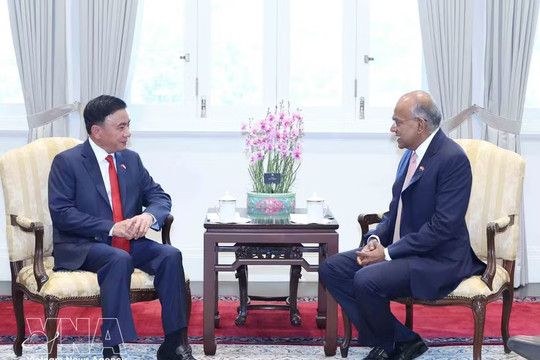 Vietnam treasures Comprehensive Strategic Partnership with Singapore: Key leader