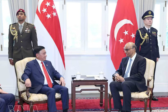 Key Vietnamese leader meets Singaporean President