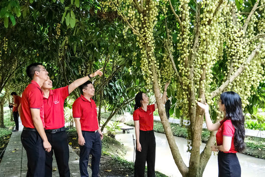 Agribank Chi nhánh Kiên Giang tiếp sức mô hình du lịch sinh thái