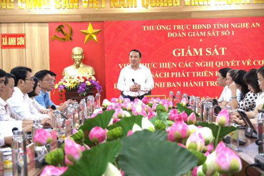 Rà soát thực tiễn, nâng hiệu quả thực thi chính sách