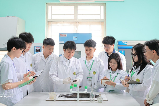 Vietnam leans on digital workforce to unlock productivity boom