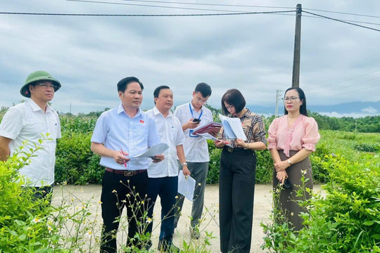 Nghị quyết, kết luận, kiến nghị giám sát được bảo đảm thực hiện như thế nào?