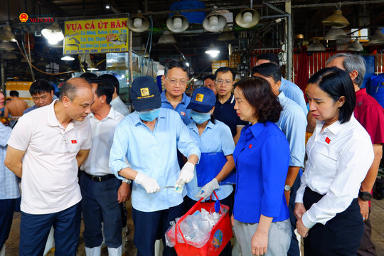 Ủy ban Khoa học, Công nghệ và Môi trường khảo sát tại chợ đầu mối Bình Điền, TP. Hồ Chí Minh