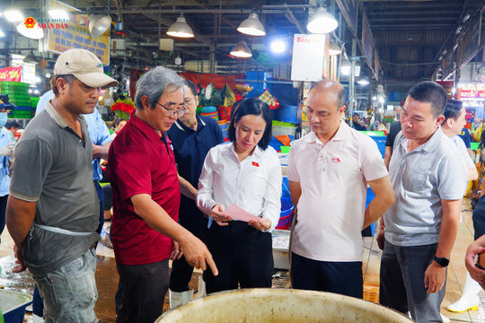 TP. Hồ Chí Minh: Siết truy xuất nguồn gốc thực phẩm vào trường học bằng công nghệ