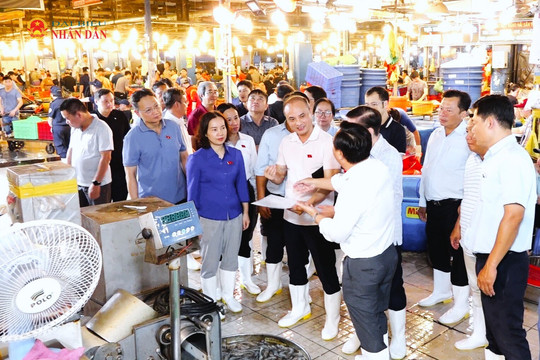 Ủy ban Khoa học, Công nghệ và Môi trường khảo sát tại chợ đầu mối Bình Điền, TP. Hồ Chí Minh
