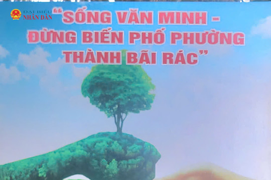 TP. Hồ Chí Minh: Triển khai nhiều nhiệm vụ thuộc lĩnh vực bảo vệ môi trường