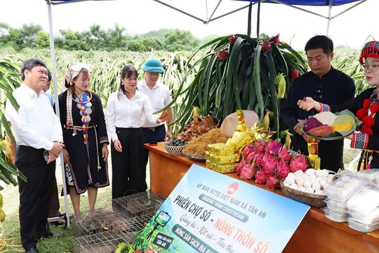 Tân An, Tuyên Quang: Ra mắt “Câu lạc bộ Thanh niên số”, “Tổ hội Nông dân số”