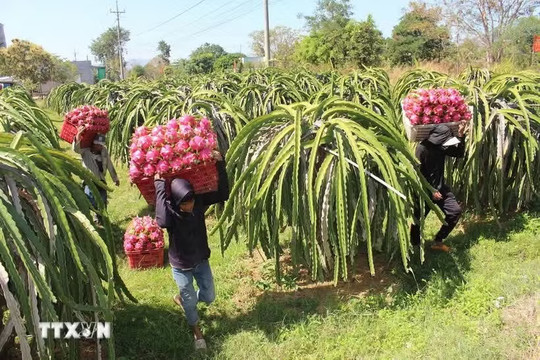Vietnam, UK advance strategic cooperation in agriculture, environment