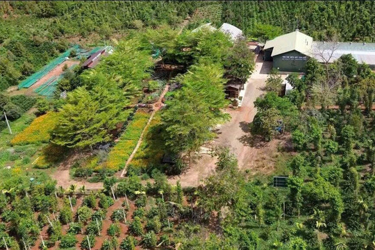 Khuyến công tạo lực đẩy cho công nghiệp nông thôn Đắk Lắk