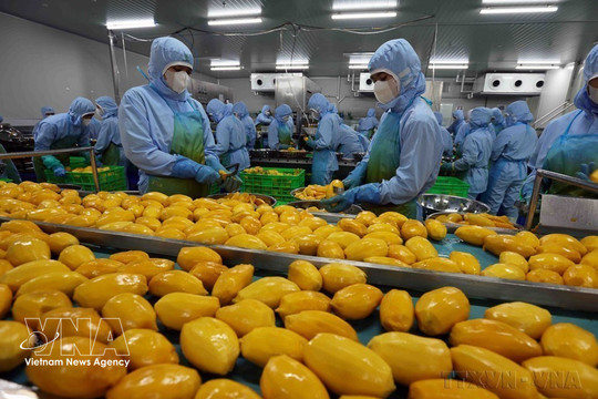 Online agricultural wholesale market launched to connect Vietnamese produce with Singapore