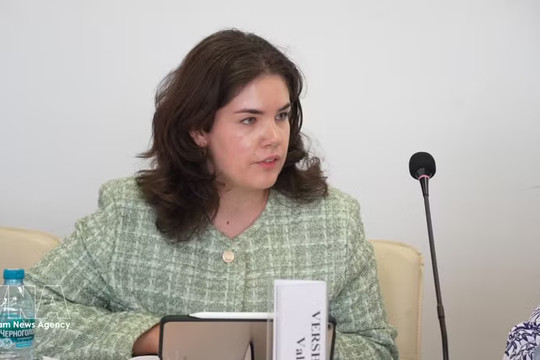 Vietnam–Russia ties' strategic nature remains resilient: Russian expert