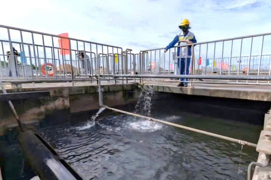 TP. Hồ Chí Minh: Triển khai thực hiện các chỉ tiêu xử lý nước thải đô thị