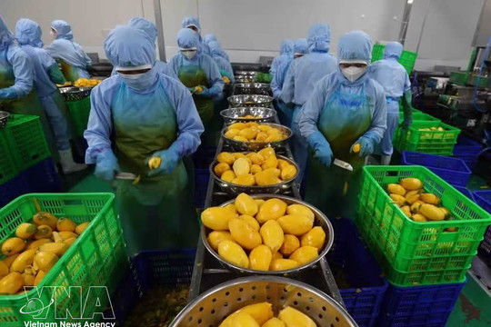 Vietnam, Mongolia promote complementary strengths to expand cooperation opportunities