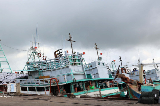 Ho Chi Minh City steps up enforcement to address outstanding IUU fishing issues