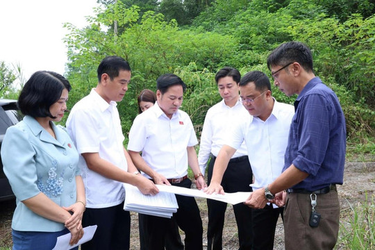 Đẩy nhanh cập nhật, làm sạch, chuẩn hóa dữ liệu đất đai
