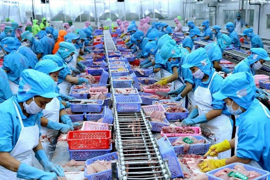 Hướng dẫn kiểm tra an toàn thực phẩm động vật và thuỷ sản nhập khẩu