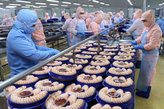 Xuất khẩu thủy sản cần thêm “trụ tăng trưởng” mới